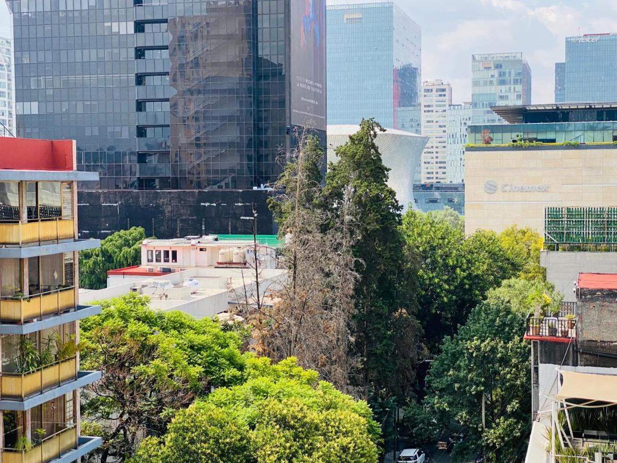 Allegro Polanco Séjour chez l'habitant