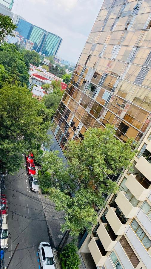 Allegro Polanco Séjour chez l'habitant *